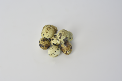 Œufs de caille 12 pcs