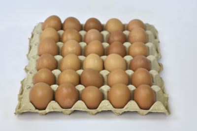 Plateau 30 œufs rouges